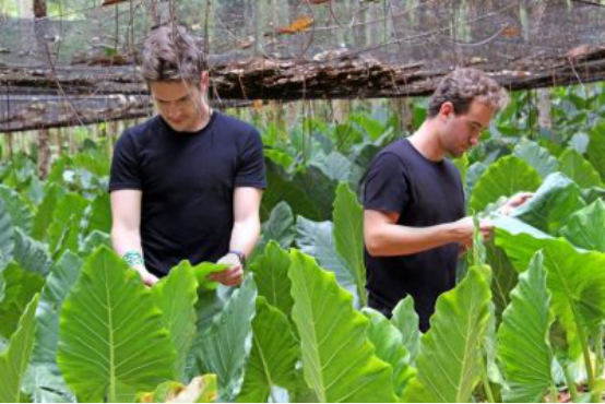 1562737967295494.png blob.png