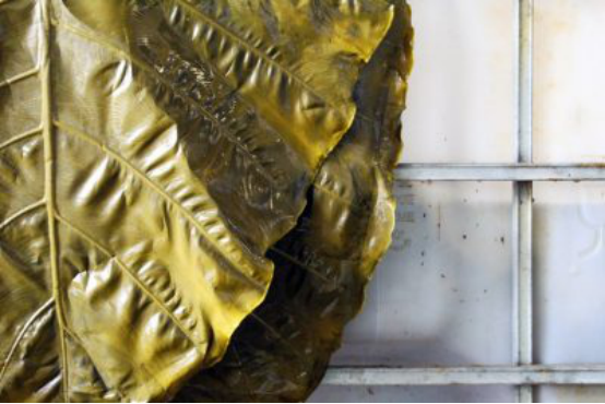 1562737981990194.png blob.png